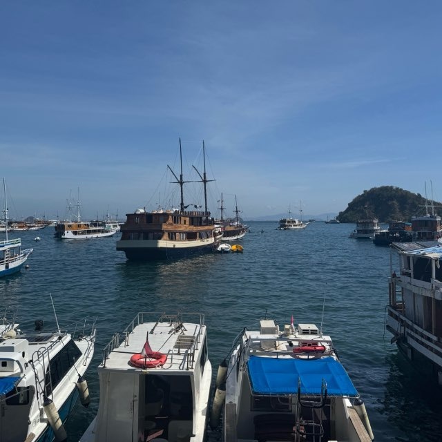 东南亚狗推-海外素材 精聊 套图